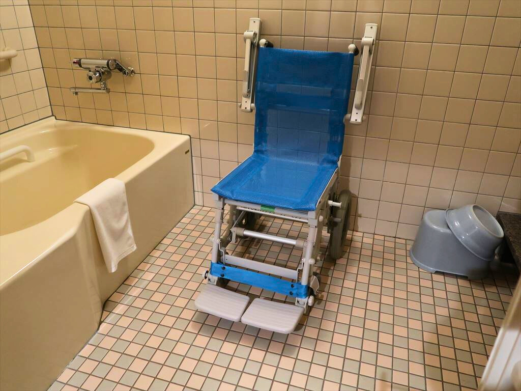 シャワーキャリー