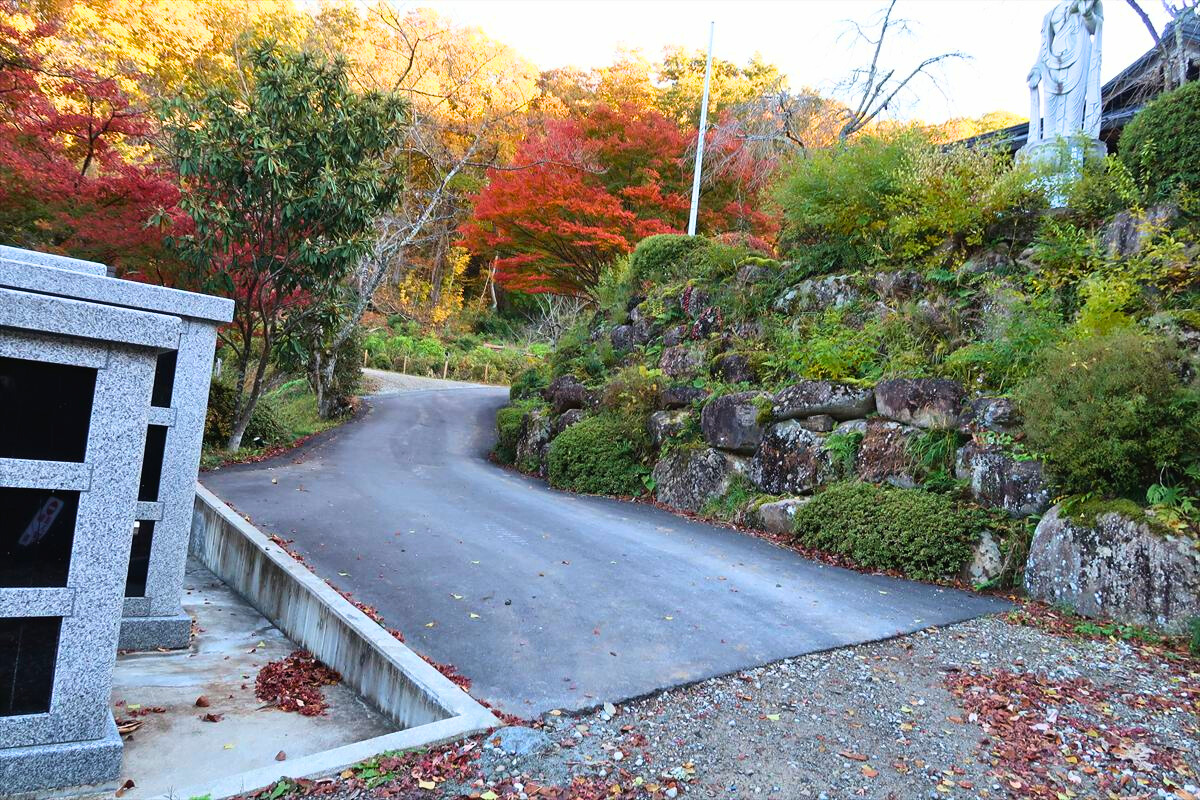 おもいやり駐車場から店舗までのルート