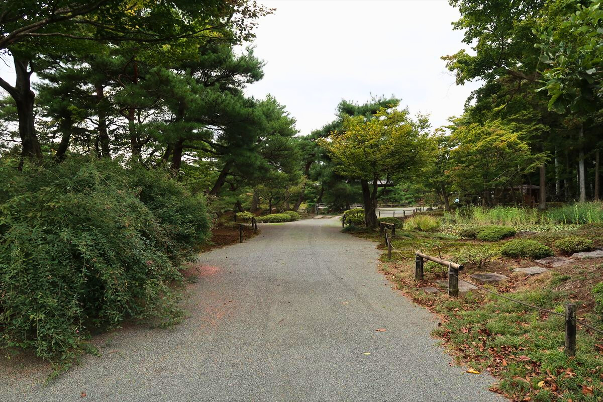 園内は車いすでも走りやすい路面