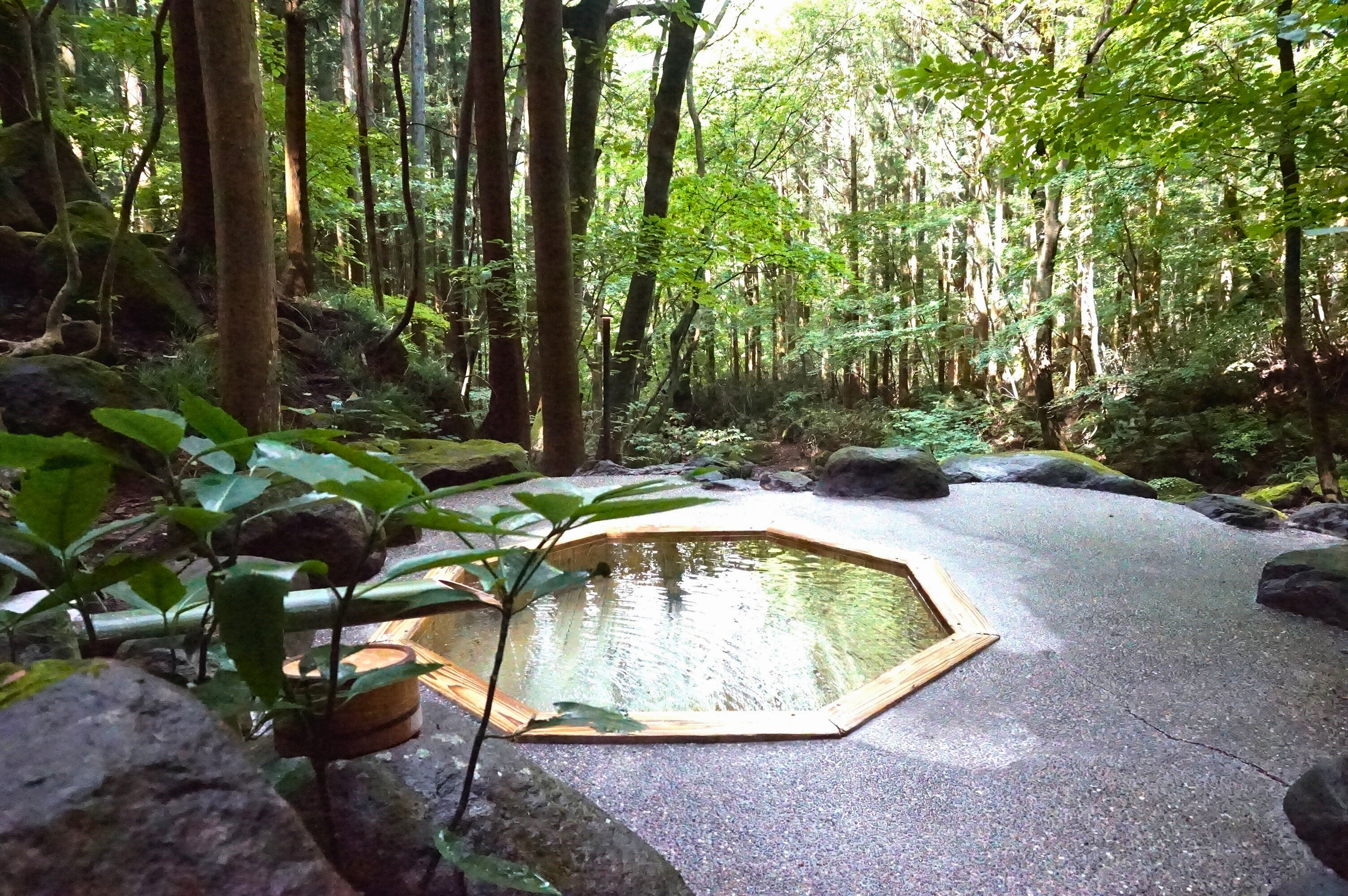 貸切露天風呂 深碧(しんぺき)